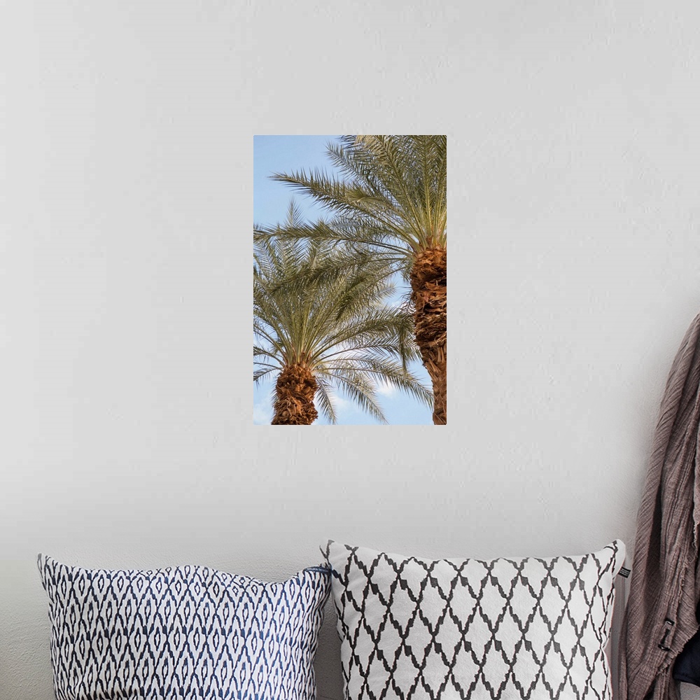 A bohemian room featuring Photograph looking up at the tops of two palm trees with a light blue sky in the background.