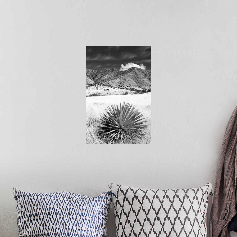A bohemian room featuring Desert Grasslands II - Black and White