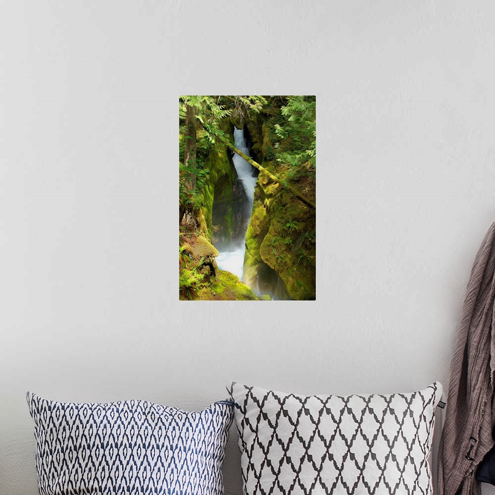 A bohemian room featuring Flowing waterfall surrounded by mossy rocks in Washington state.