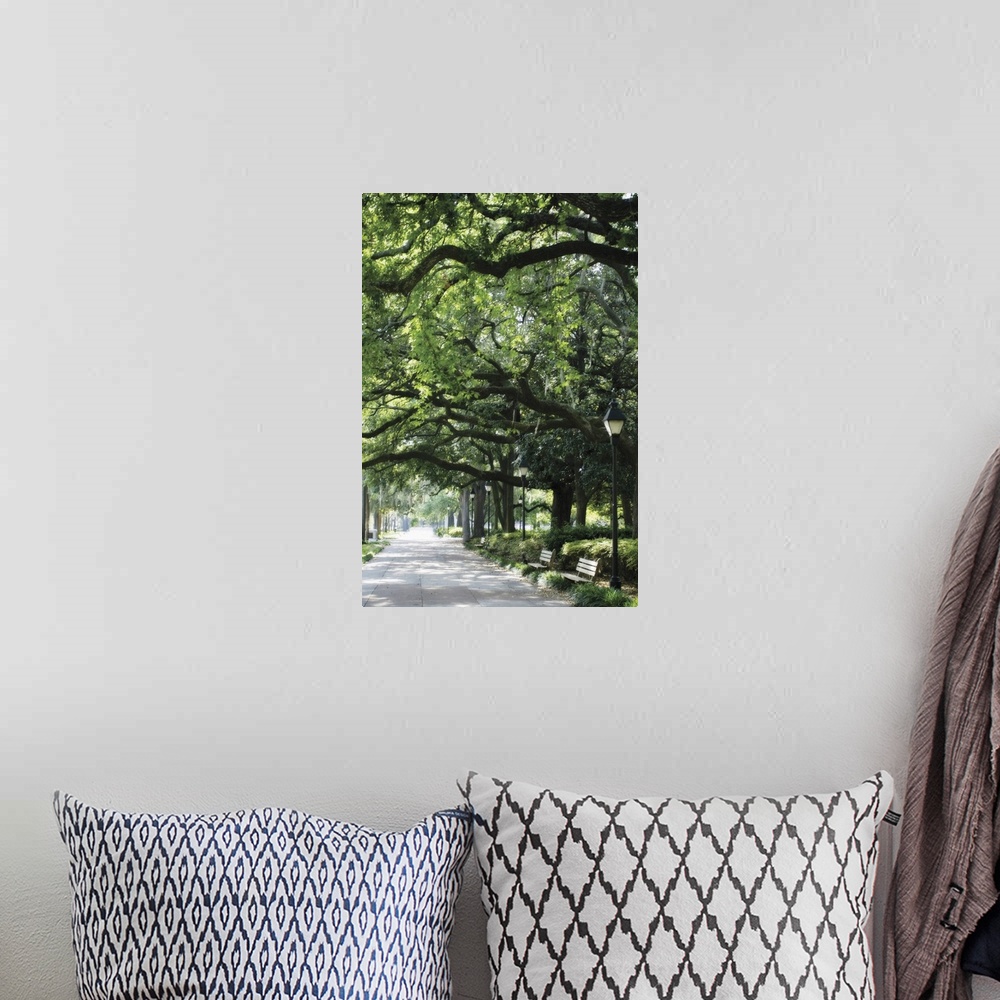 A bohemian room featuring Vertical image on canvas of a walkway leading through a park with large trees with big branches.