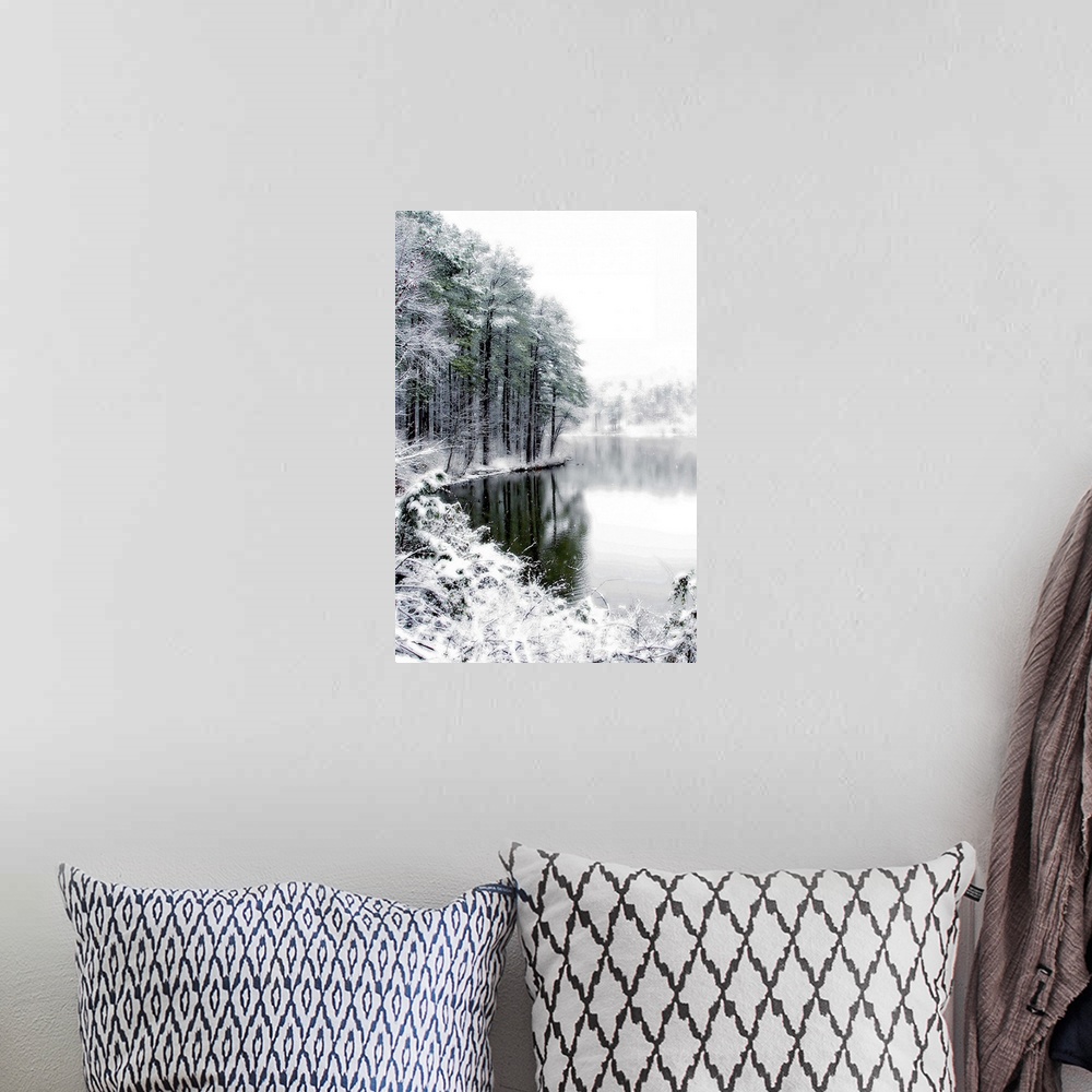 A bohemian room featuring Shelly Lake in Winter 2