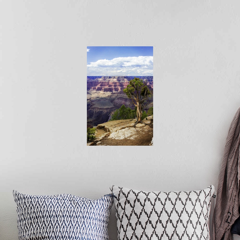 A bohemian room featuring The Canyon Rim I