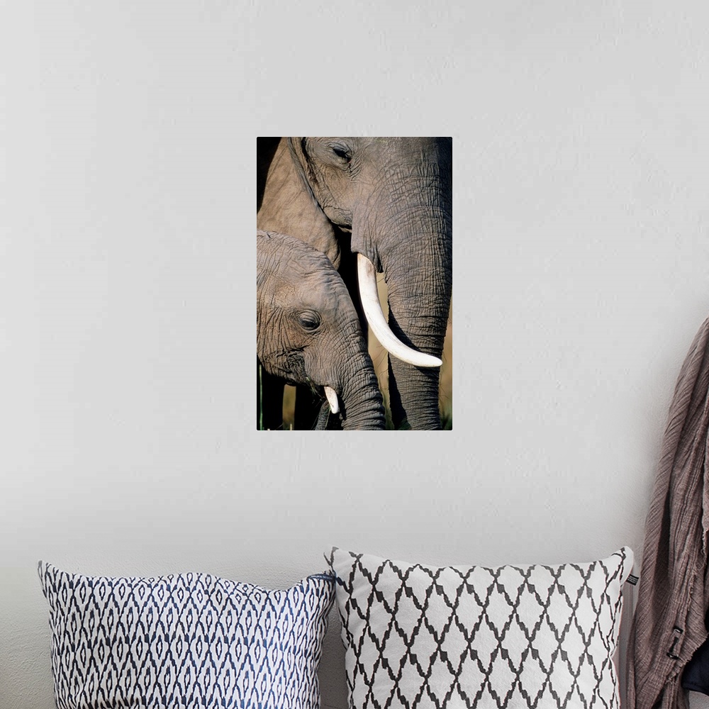 A bohemian room featuring A cow and calf African elephant stand together in Kenya's Masai Mara National Reserve.