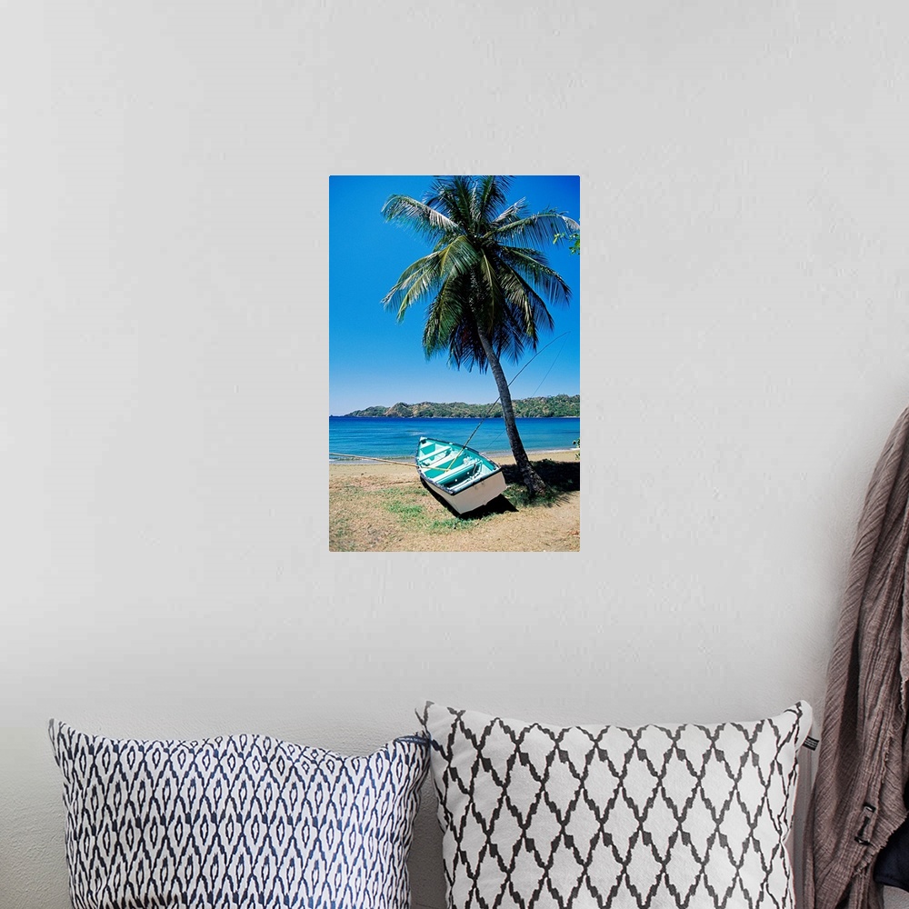 A bohemian room featuring Boat and palm tree, Tobago, Caribbean