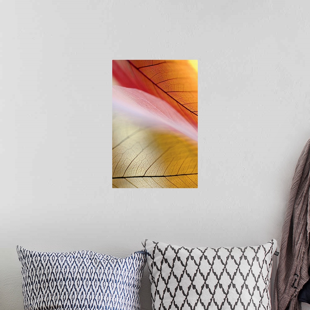 A bohemian room featuring Vertical canvas print of the up close detailed view of leaves.