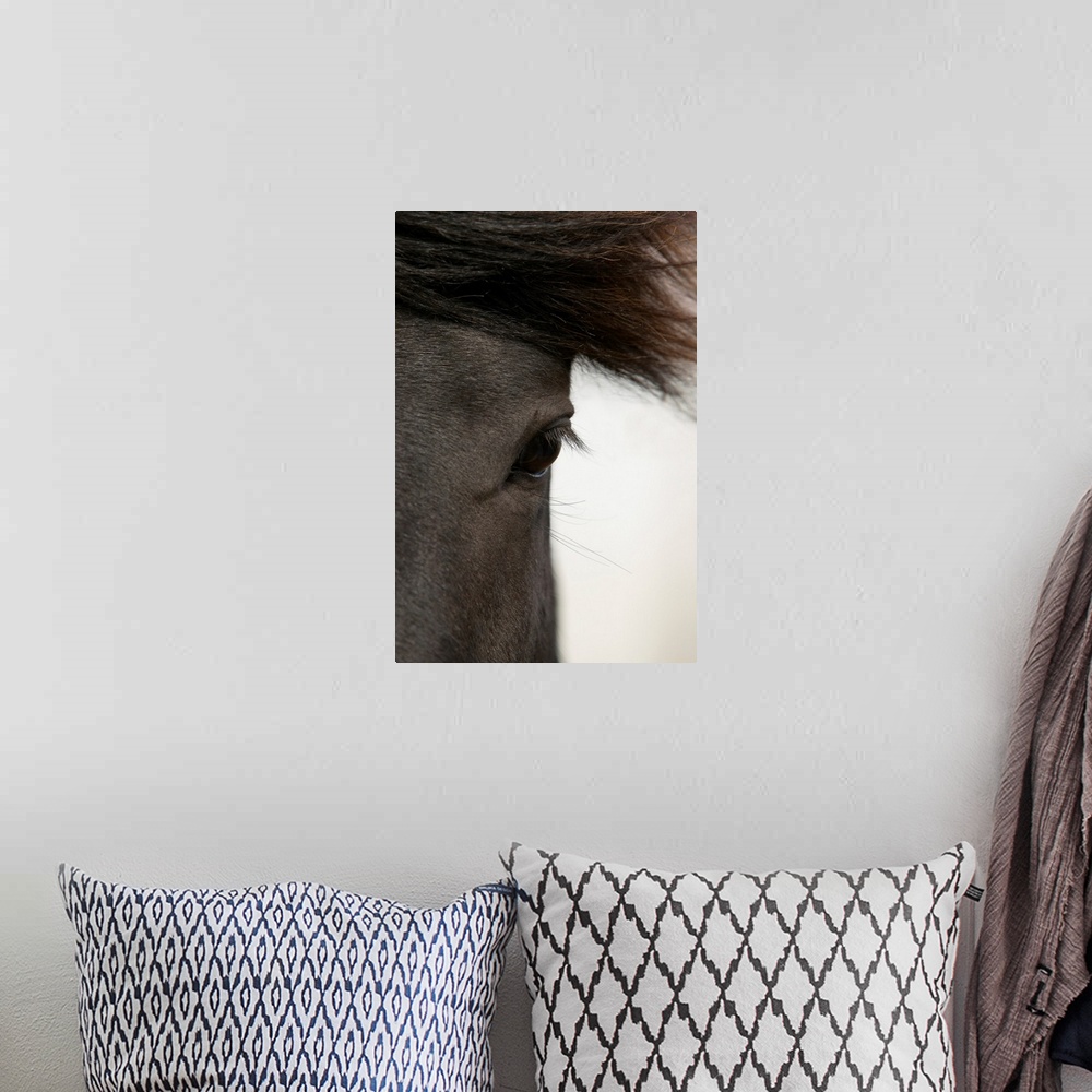 A bohemian room featuring Close-up of  horse eye and hair