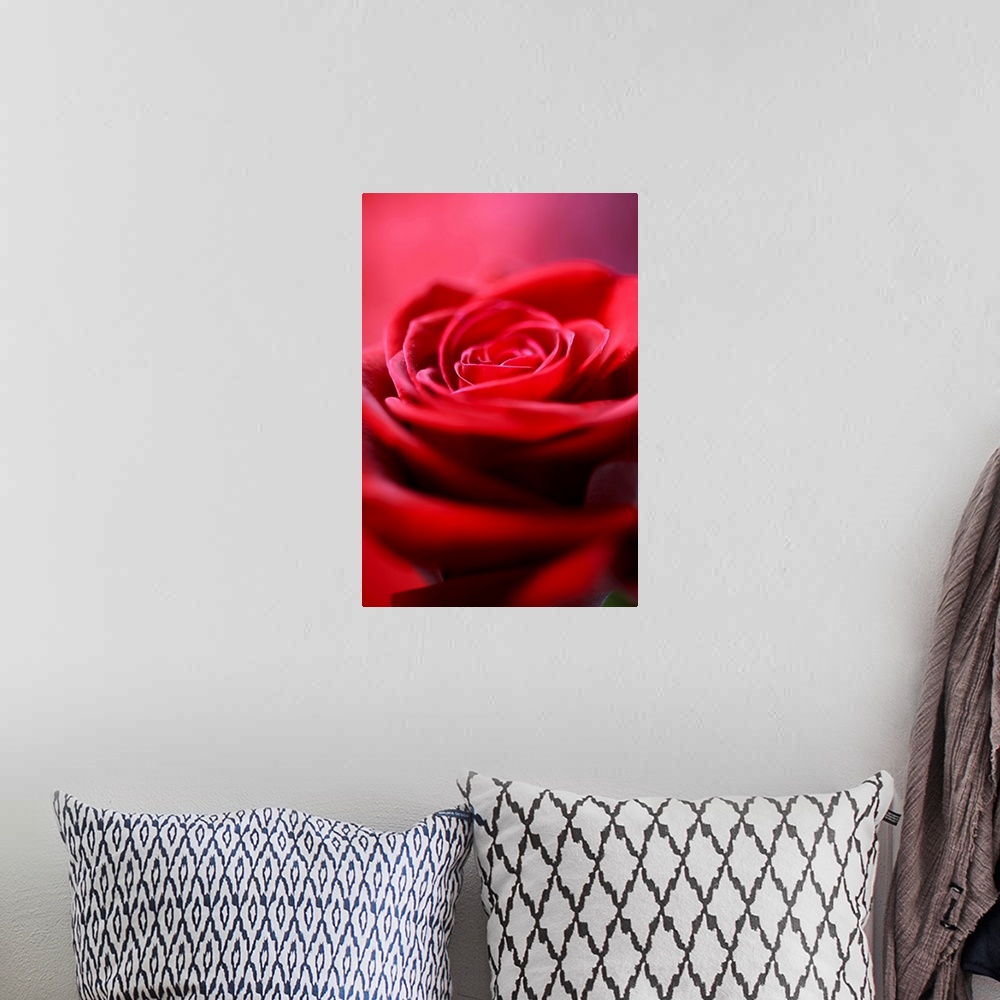 A bohemian room featuring A macro, close up of the interior of a Red Rose, created with a background of red Thai Silk.