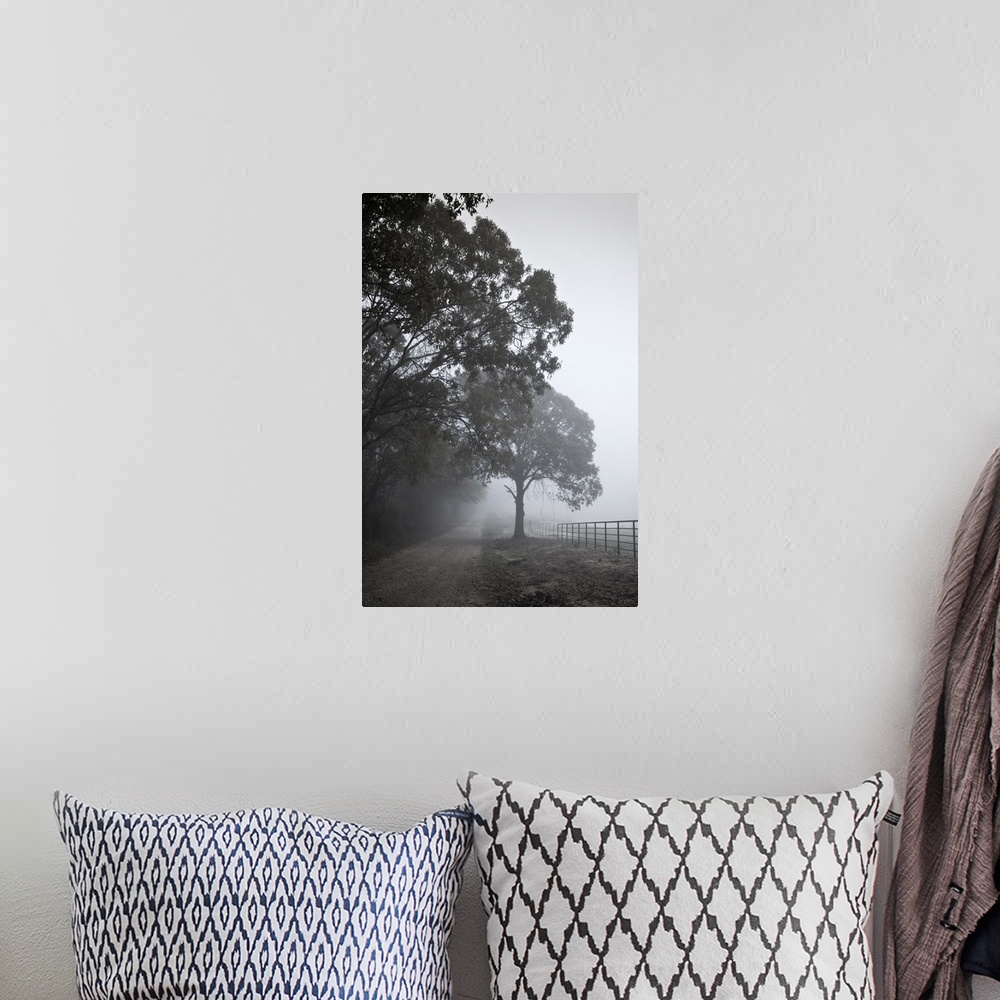 A bohemian room featuring Farm road with light fog and fence beside tree.