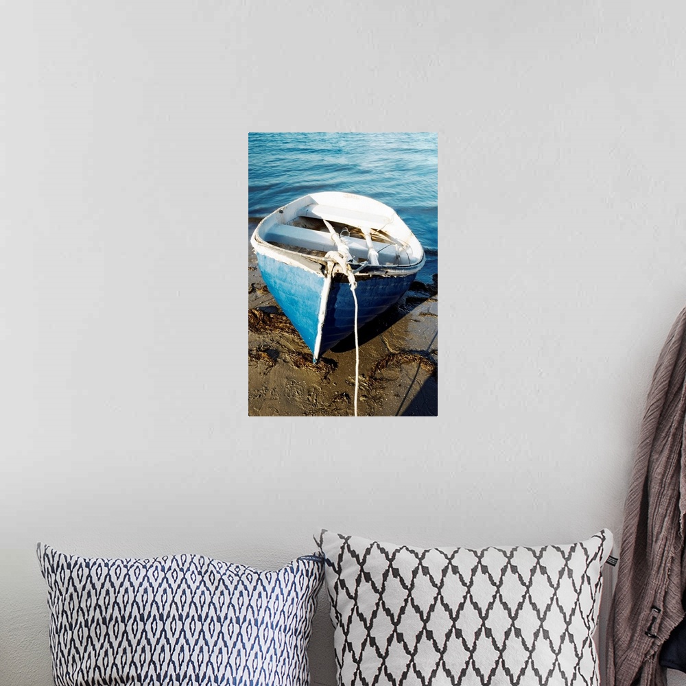 A bohemian room featuring High angle view of a rowboat parked on the shore, San Diego, California, USA