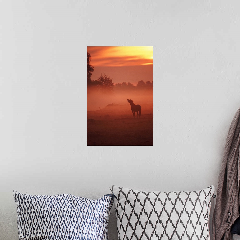 A bohemian room featuring horse at sunrise