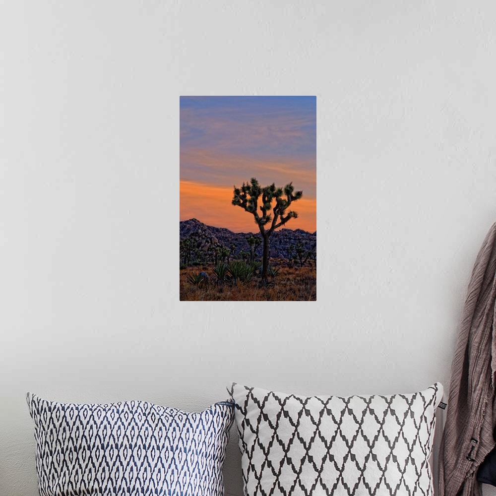 A bohemian room featuring A dawn shot of the Joshua trees and Yucca and rocky hills against an orange sky before the sun ro...