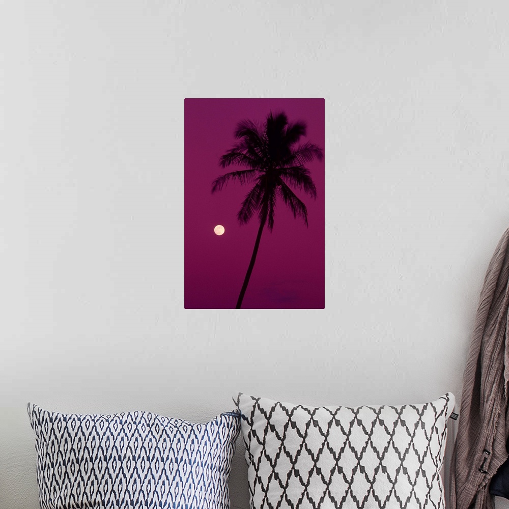 A bohemian room featuring Palm tree with moon in a bright pink sky.
