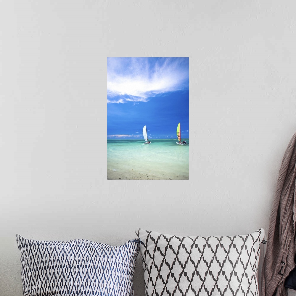 A bohemian room featuring People sailing sailboats in the ocean