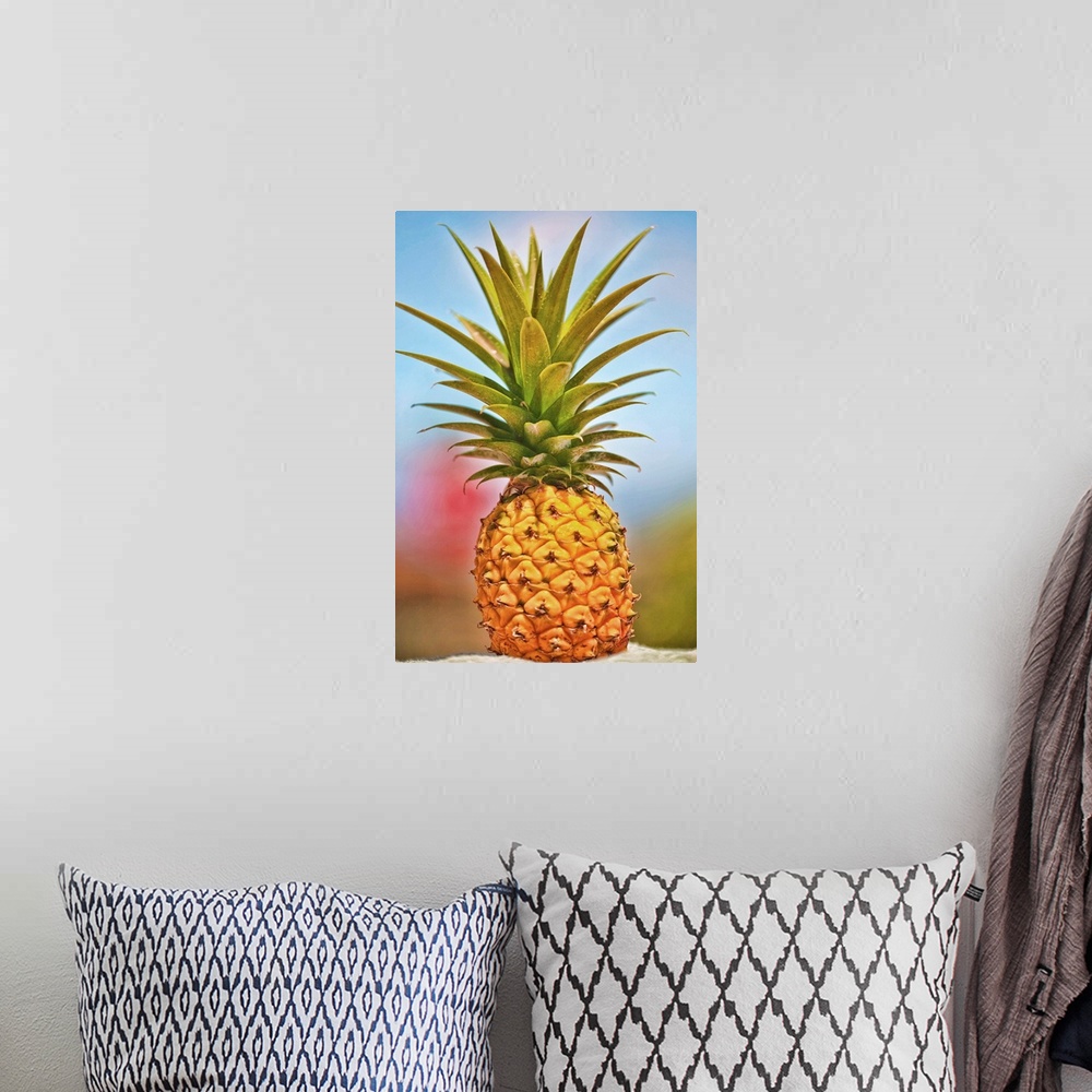 A bohemian room featuring Pineapple grown on Maui, Hawaii