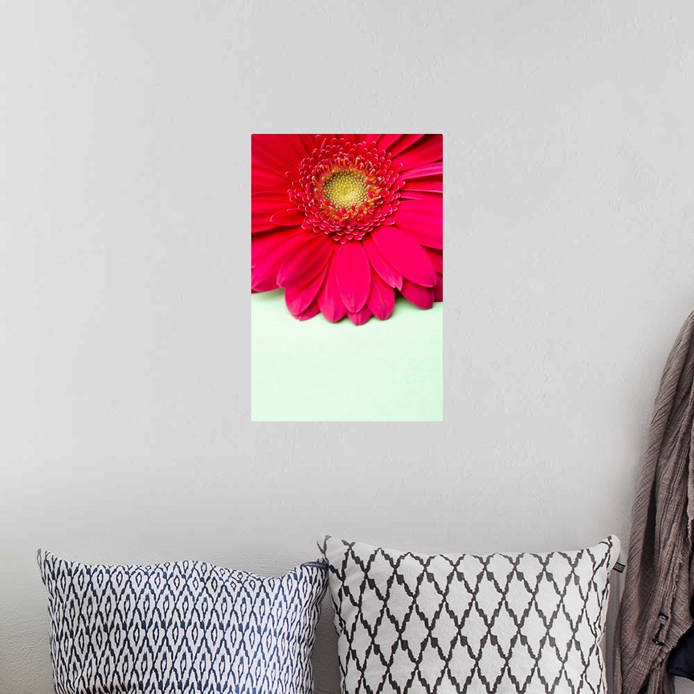 A bohemian room featuring Pink gerbera daisy on light green background.