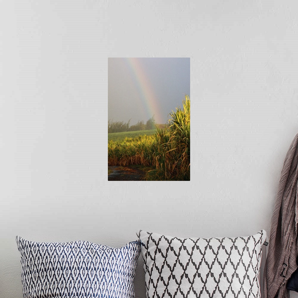 A bohemian room featuring Rainbow arching into field behind stream