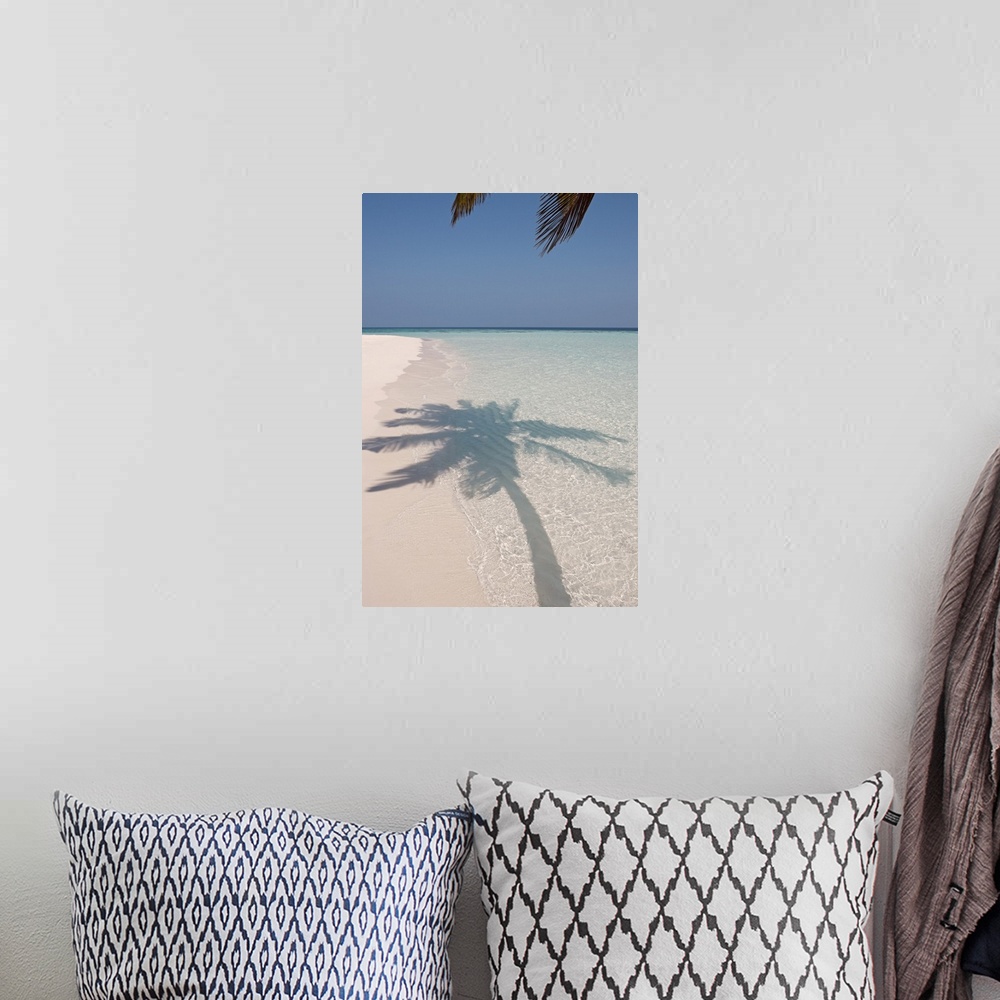 A bohemian room featuring The shadow of a large palm tree is photographed as it's shown on the clear ocean water and white ...