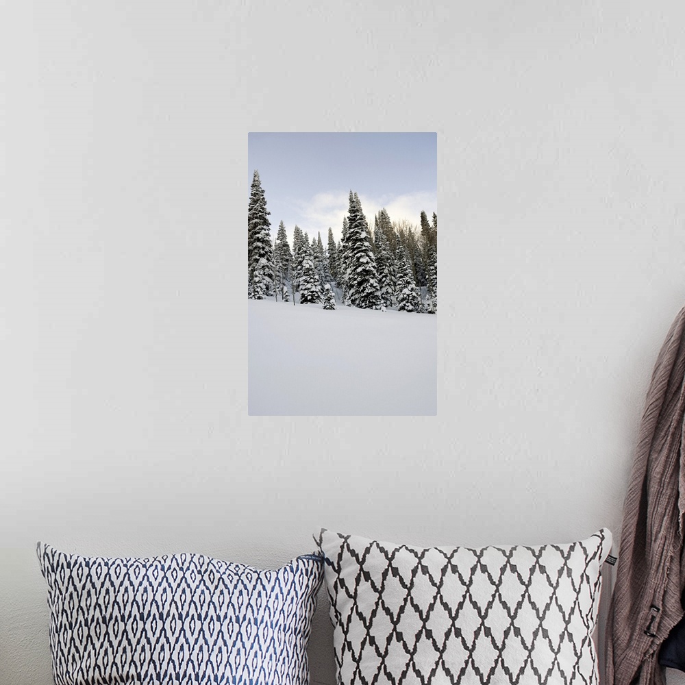 A bohemian room featuring Snow-covered landscape