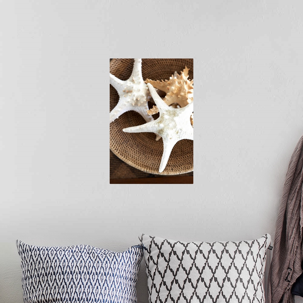 A bohemian room featuring Starfish In A Basket