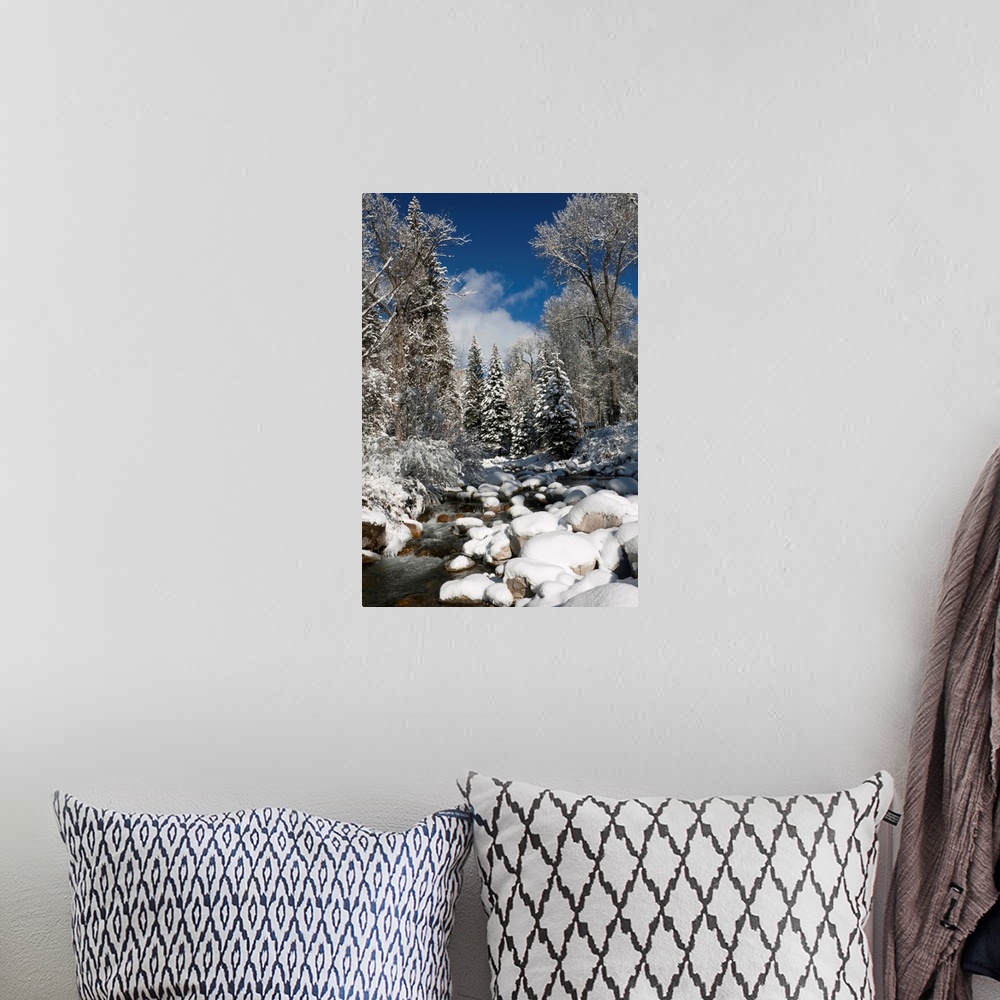 A bohemian room featuring USA, Colorado, Winter landscape