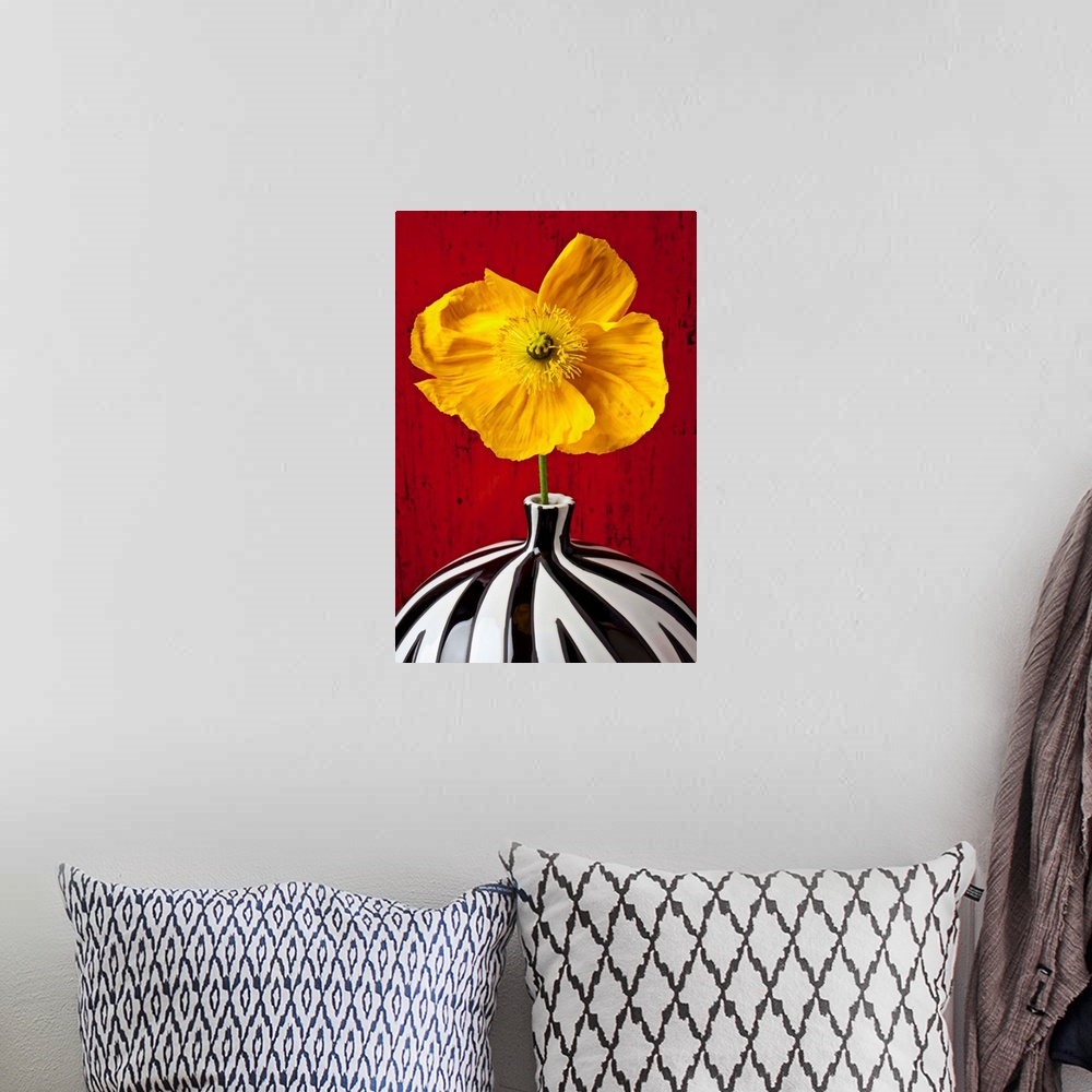 A bohemian room featuring Yellow Iceland Poppy in striped vase against red wooden wall