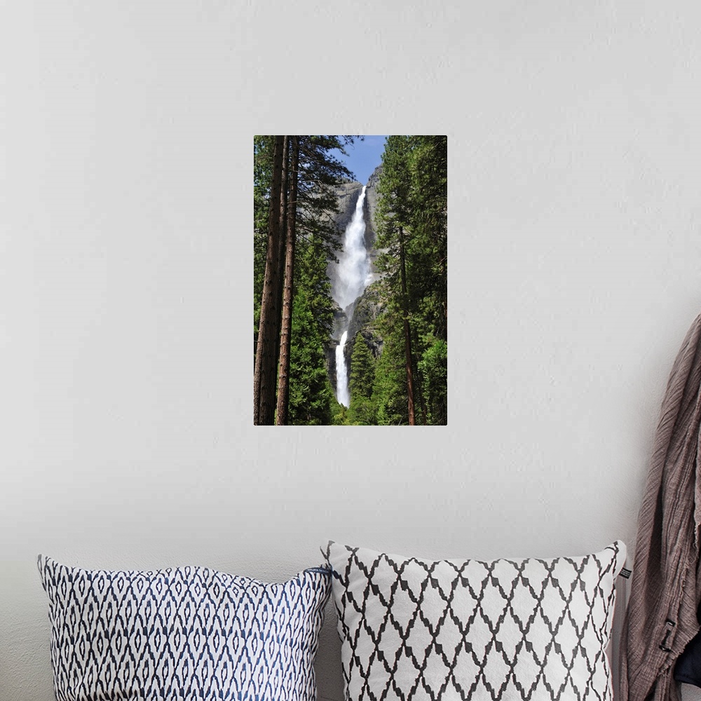 A bohemian room featuring A massive waterfall is photographed through very tall pine trees.