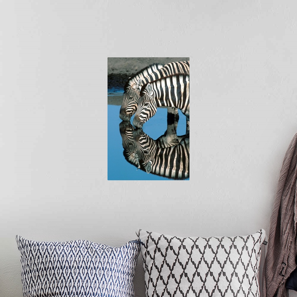 A bohemian room featuring Zebras Drinking At Water Hole