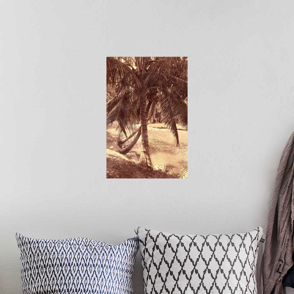 A bohemian room featuring Under the Palm