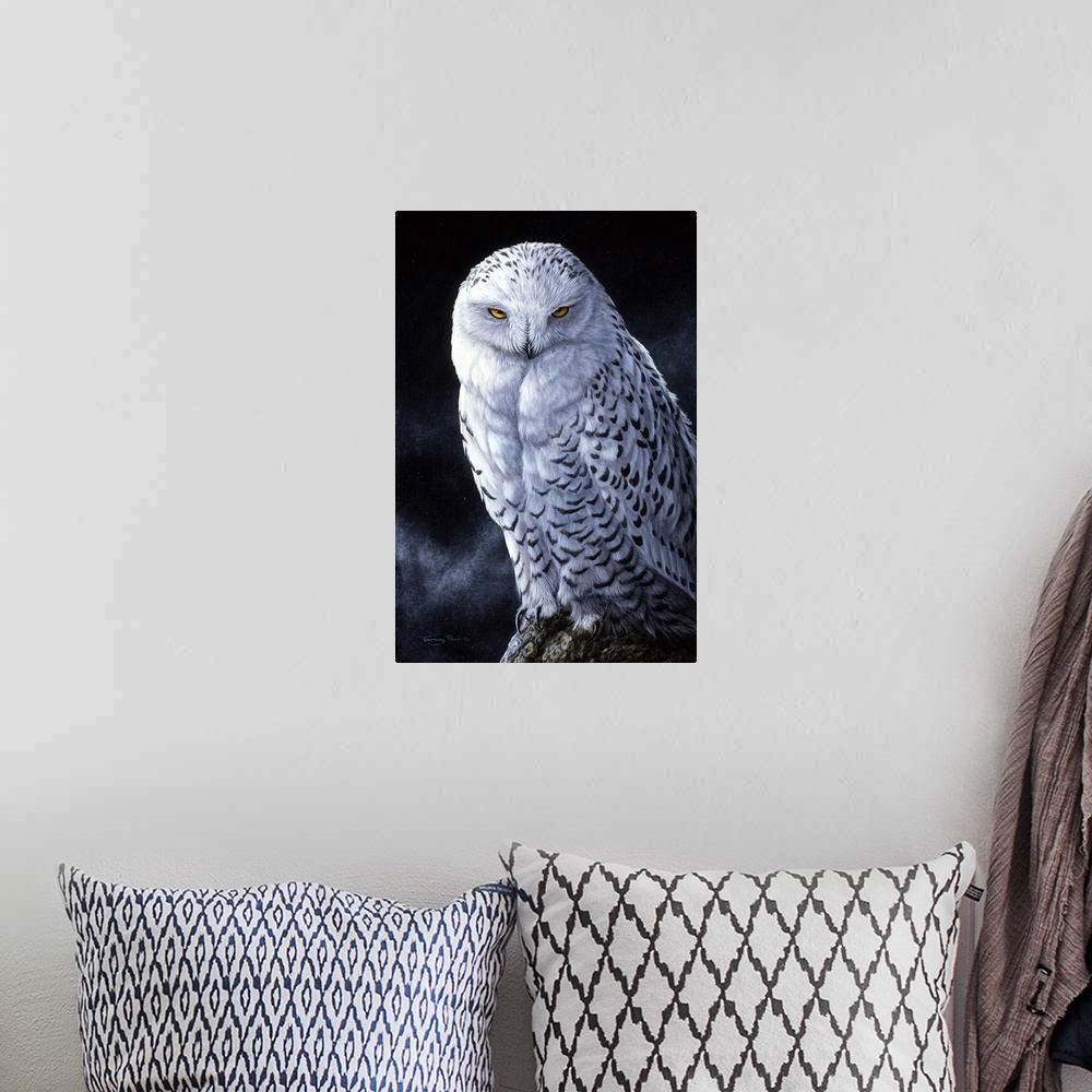 A bohemian room featuring Snowy Owl