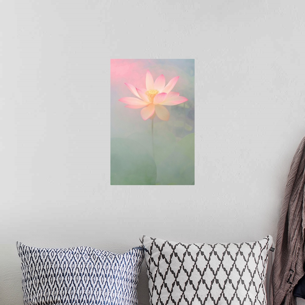 A bohemian room featuring A soft pastel colored photograph of a white flower with pink tips on the petals.
