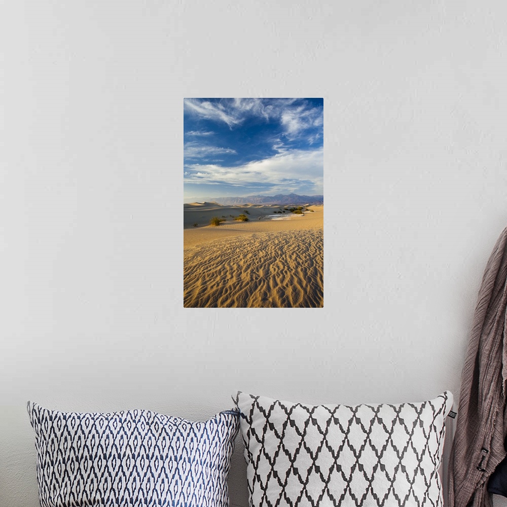 A bohemian room featuring USA, California, Death Valley National Park, Mesquite Flat Sand Dunes, late afternoon