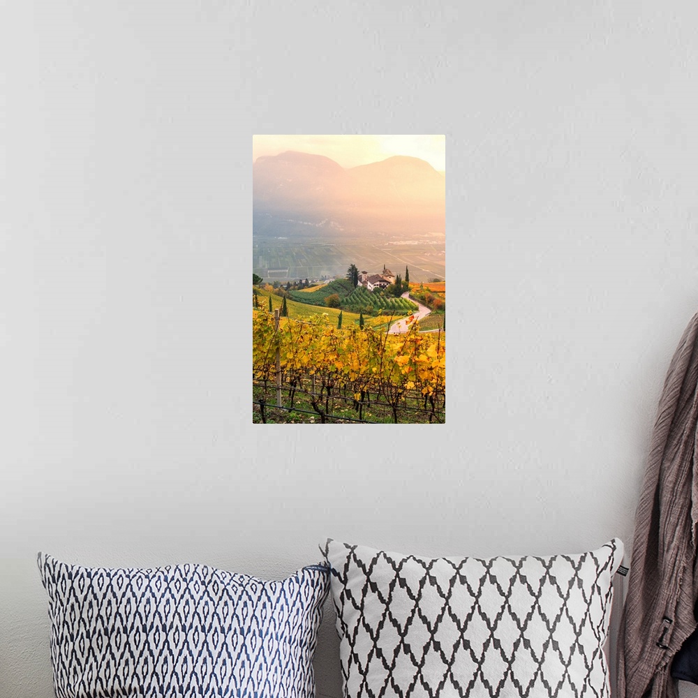 A bohemian room featuring Cortaccia On The Wine Route-Europe, Italy, Trentino Alto Adige, South Tyrol, Cortaccia, Bolzano P...