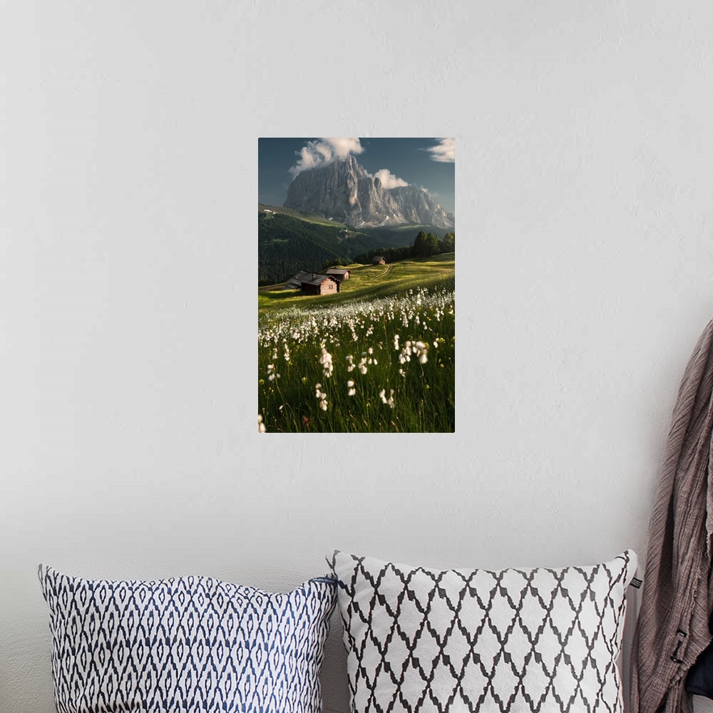 A bohemian room featuring Daunei, Selva Val Gardena, Gardena Valley, South Tyrol, Dolomites, Italy, Europe. Flowering meado...