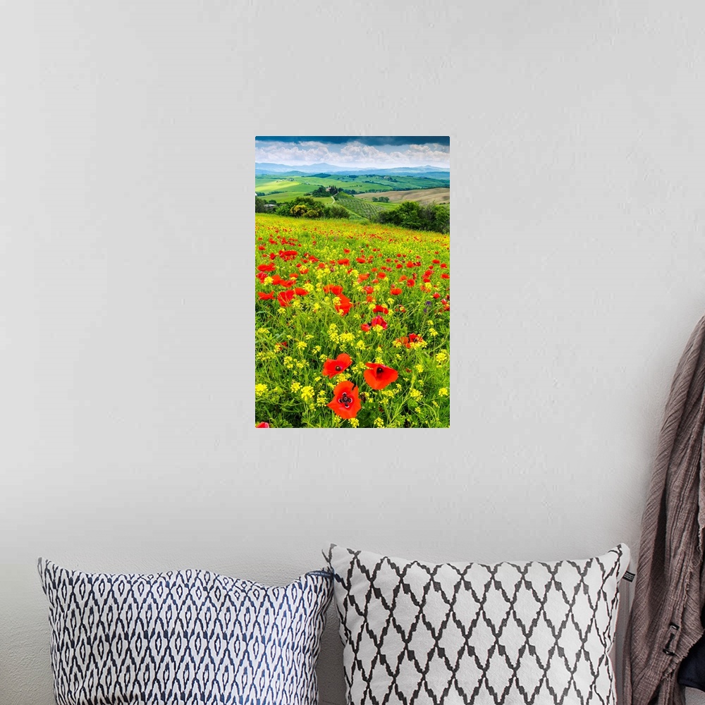 A bohemian room featuring Field of Wildflowers Above Belvedere, Val d' Orcia, Tuscany, Italy.