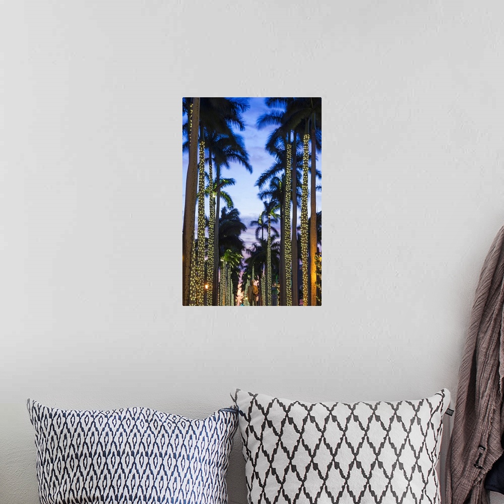 A bohemian room featuring USA, Florida, Palm Beach, palms on Royal Palm Way