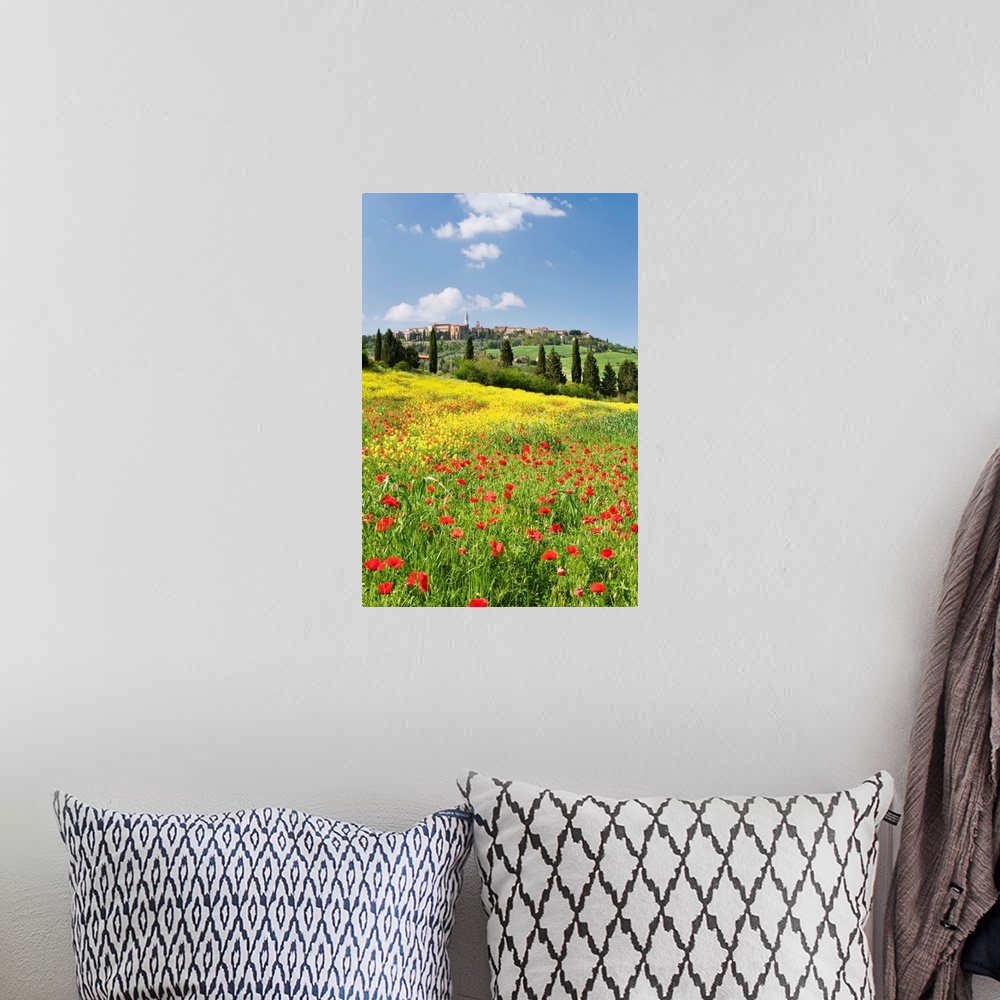 A bohemian room featuring Hill town Pienza and field of poppies, Tuscany, Italy