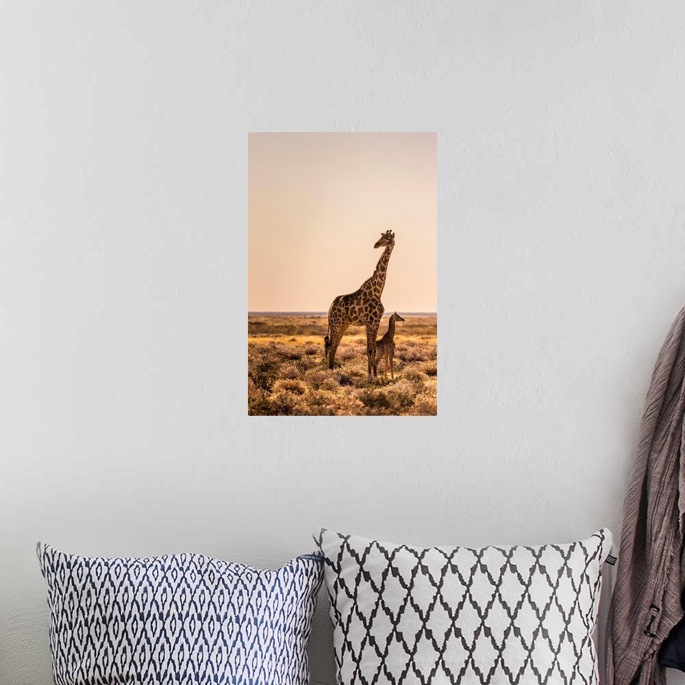 A bohemian room featuring Lonely Giraffe with baby in Etosha, Namibia, Africa