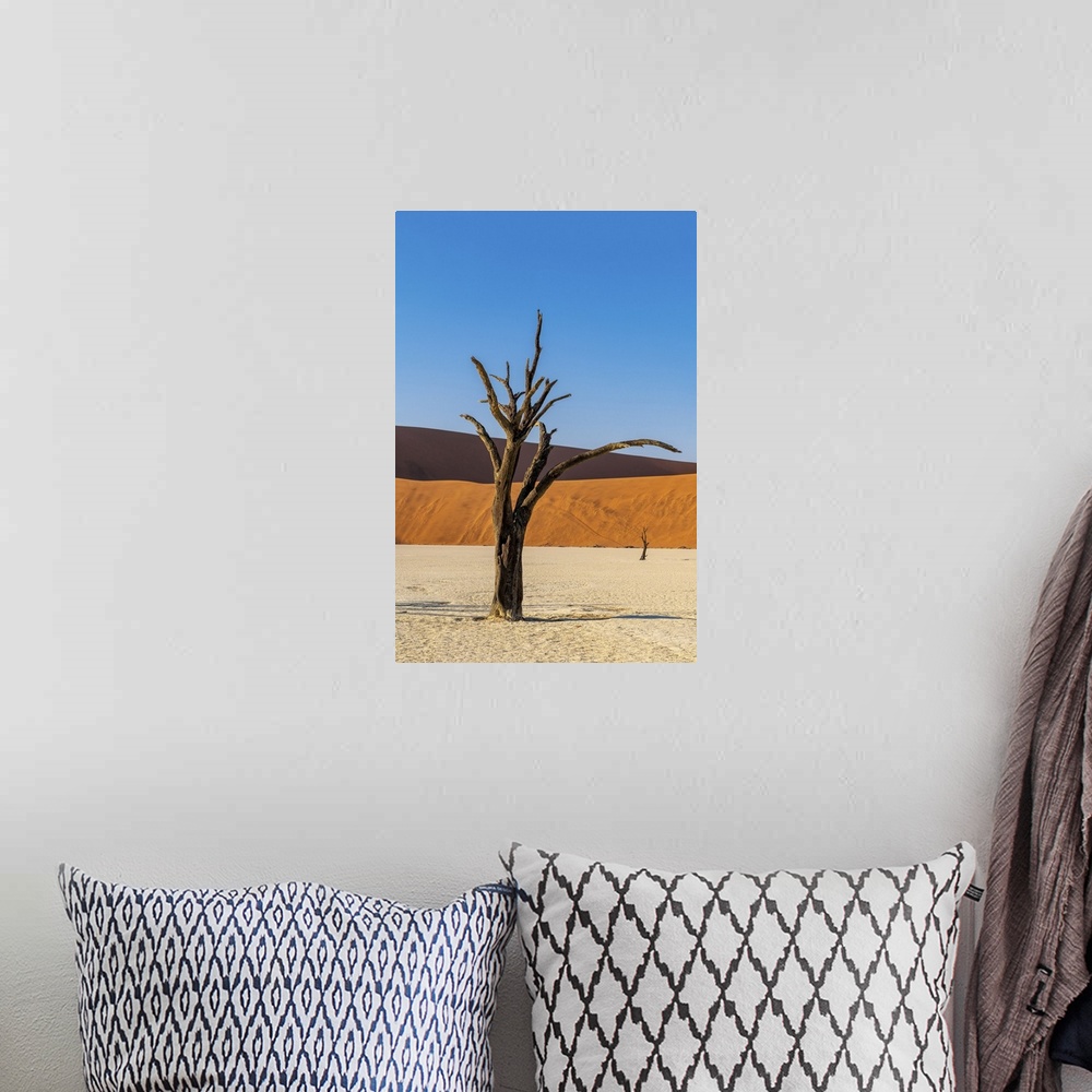 A bohemian room featuring Old dead tree, Deadvlei, Namib-Naukluft National Park, Sesriem, Namibia