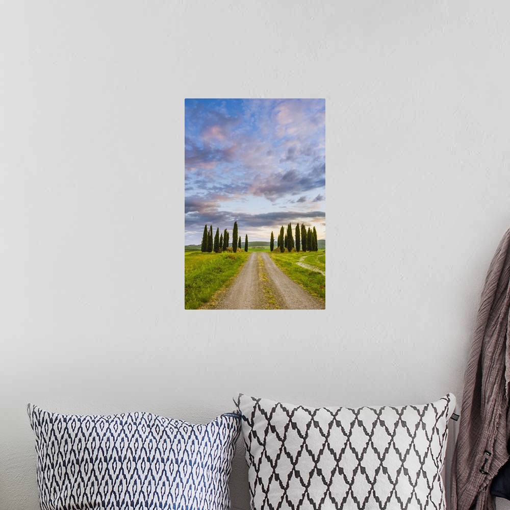 A bohemian room featuring Orcia Valley, Tuscany, Italy. Tuscan hills at sunrise.