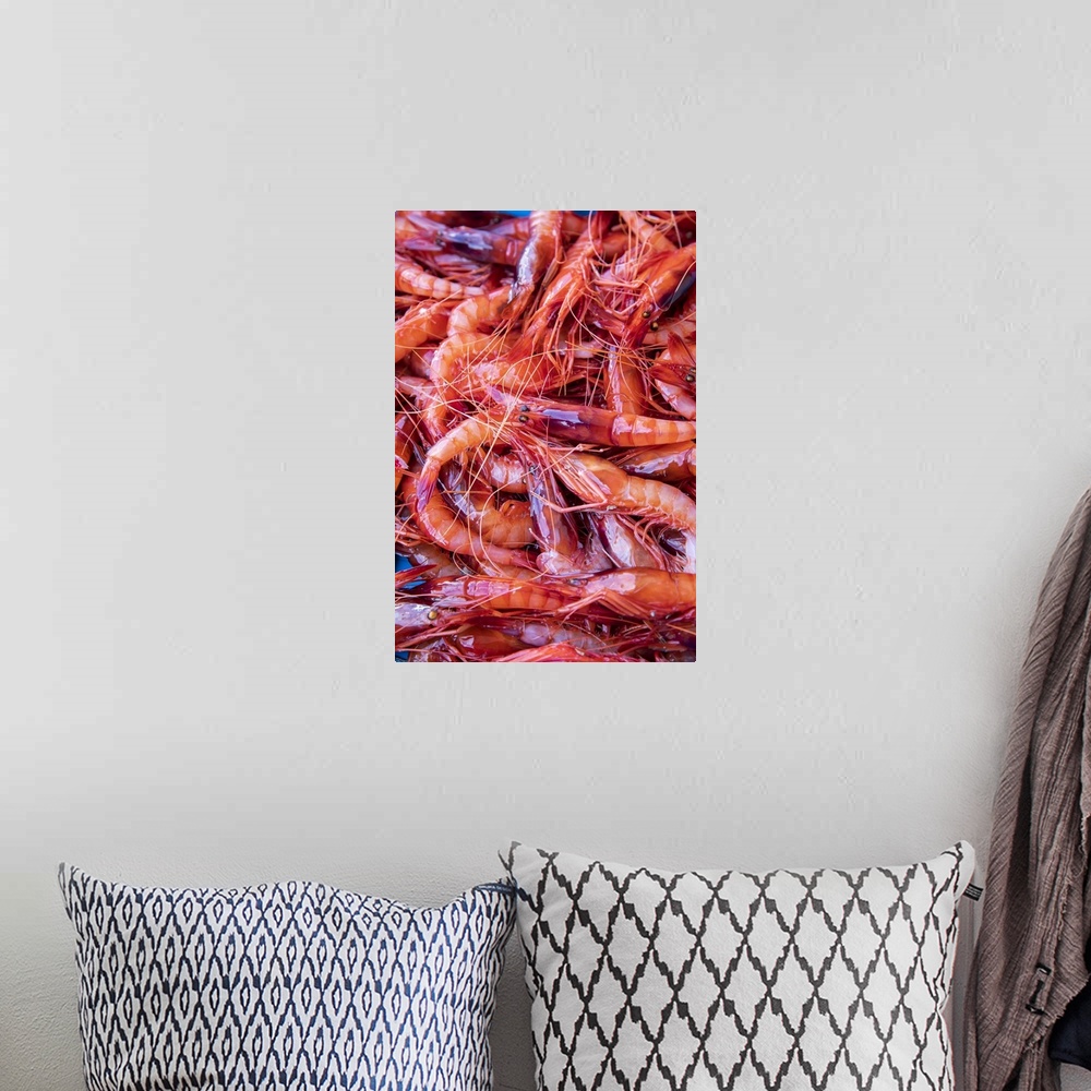 A bohemian room featuring Spagna, Costa Brava, Food Joan Roca. Tray of freshly caught red prawns destined for auction in th...