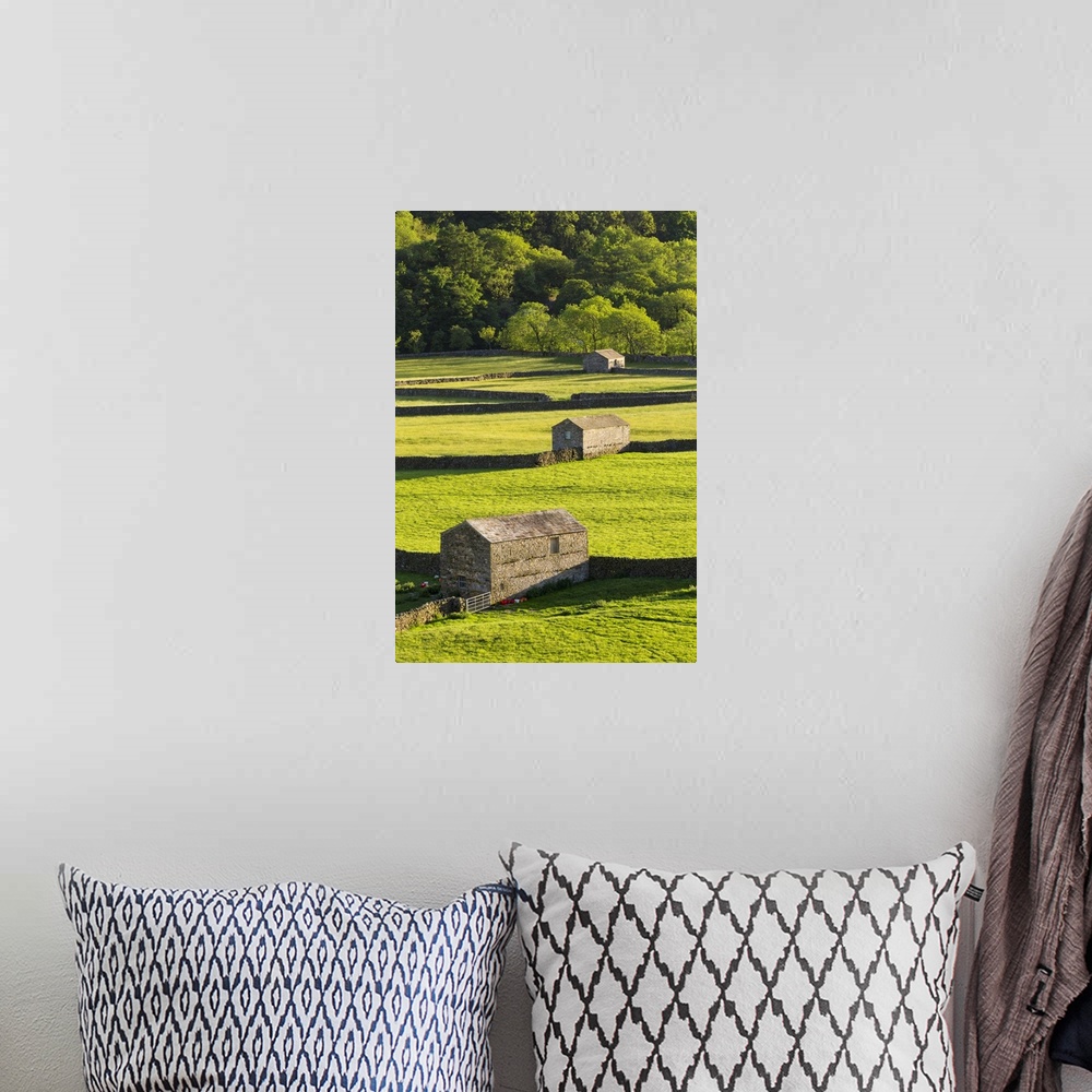 A bohemian room featuring United Kingdom, England, North Yorkshire, Gunnerside. Traditional barns in Swaledale.