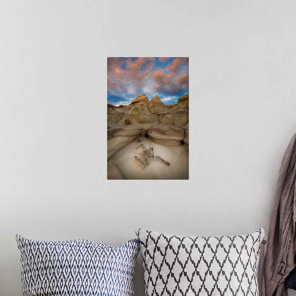 A bohemian room featuring A Lone Branch In New Mexico's Bisti Badlands, Bisti Badlands