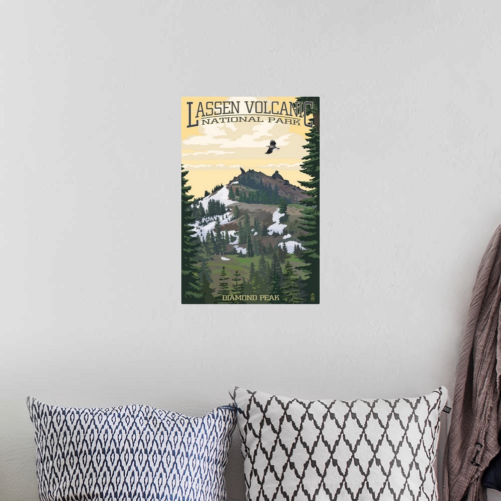 A bohemian room featuring Retro stylized art poster of a volcano peak. With trees below, and a bird in flight.