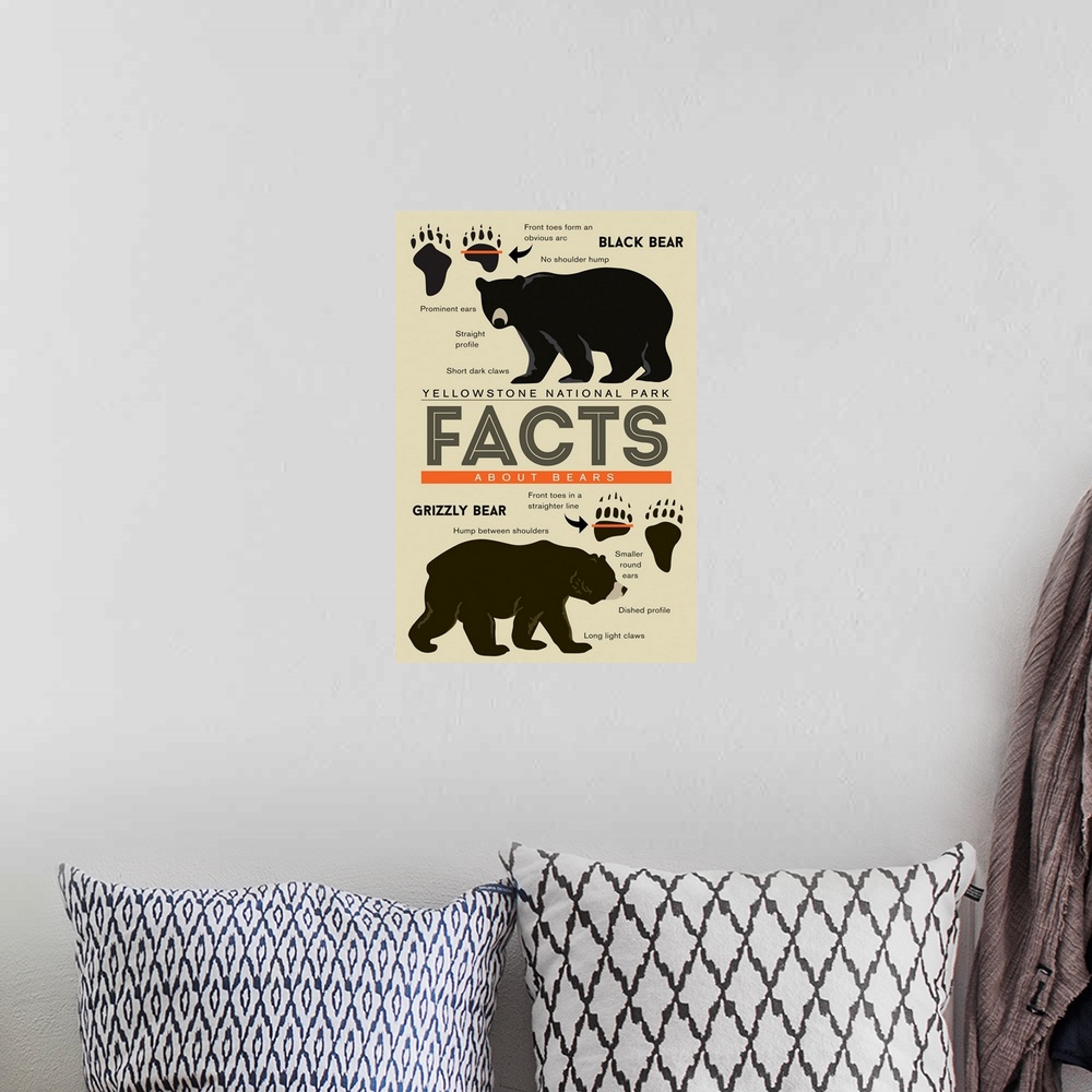 A bohemian room featuring Yellowstone National Park, Wyoming - Facts About Bears - Grizzly & Black Bear