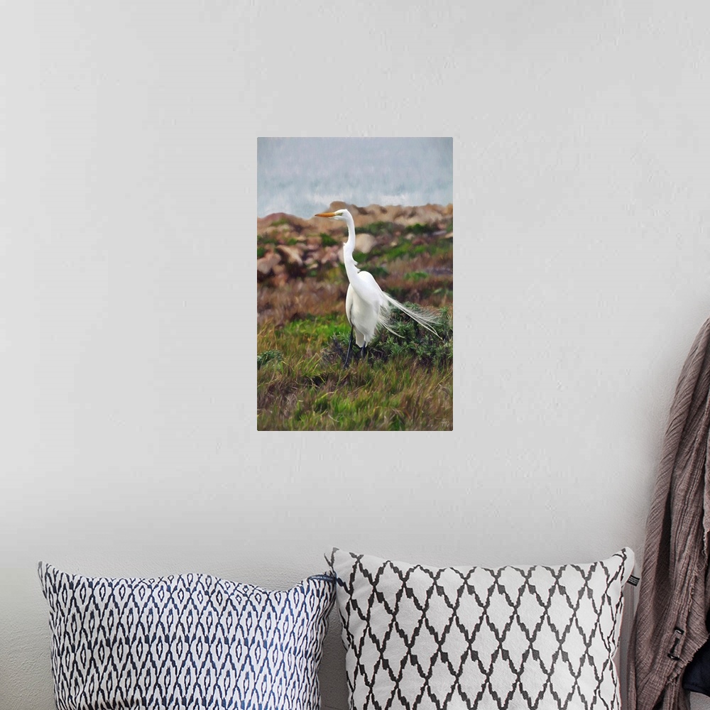 A bohemian room featuring A great egret maintains its balance on a windy day in Pebble Beach. Often at least three-feet tal...