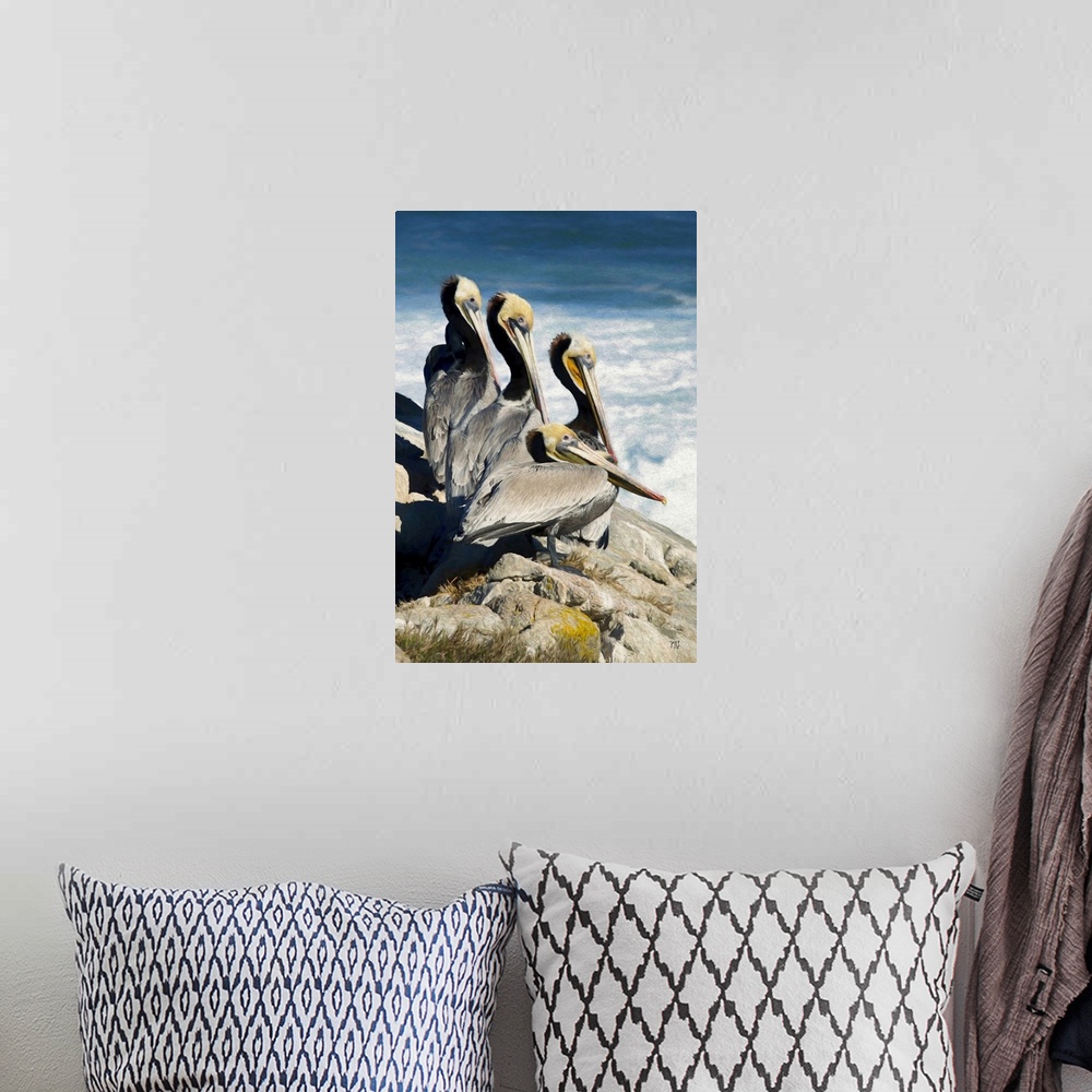 A bohemian room featuring Four pelicans with striking eyes of different colors rest above the waves in Pebble Beach, Califo...