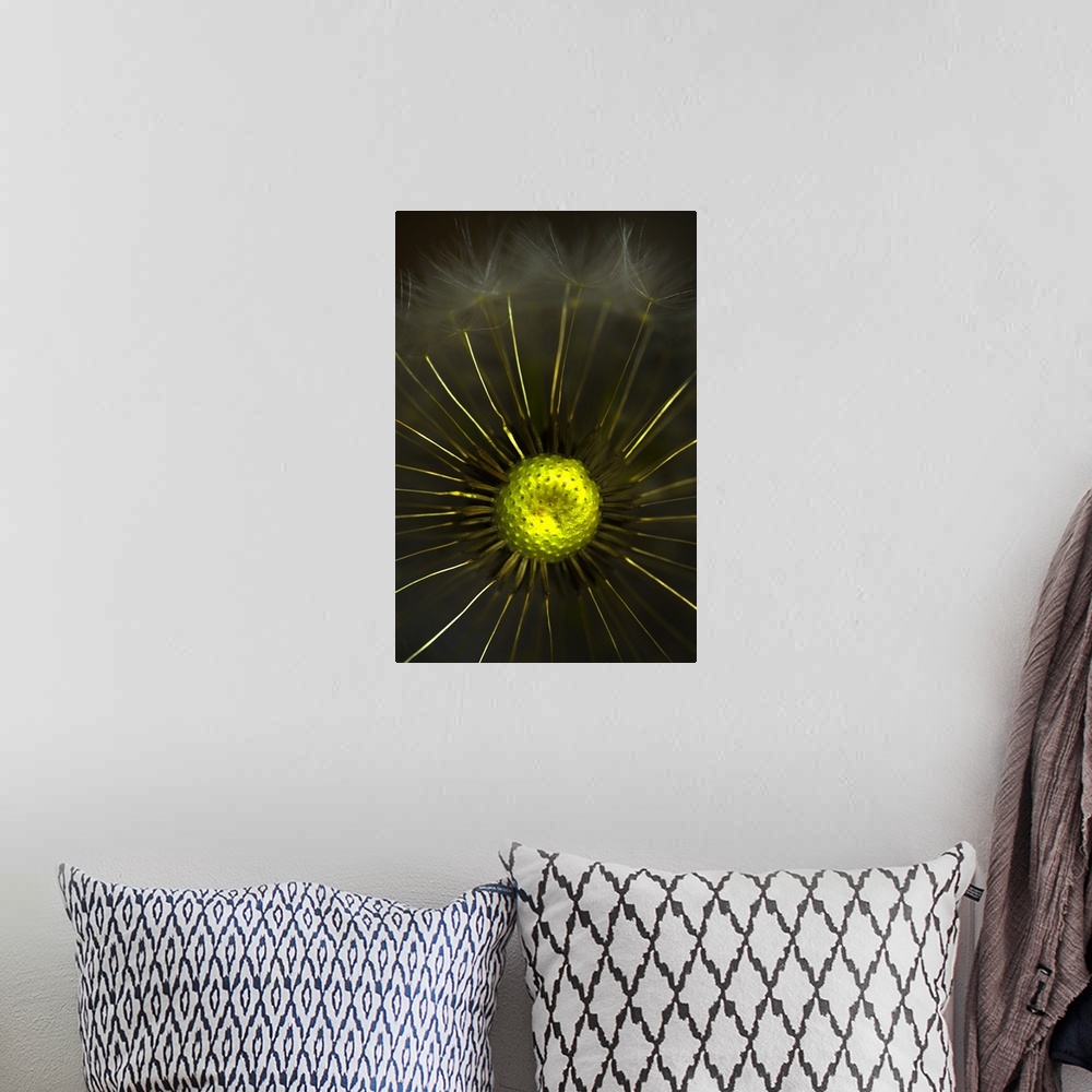 A bohemian room featuring Abstract Dandelion