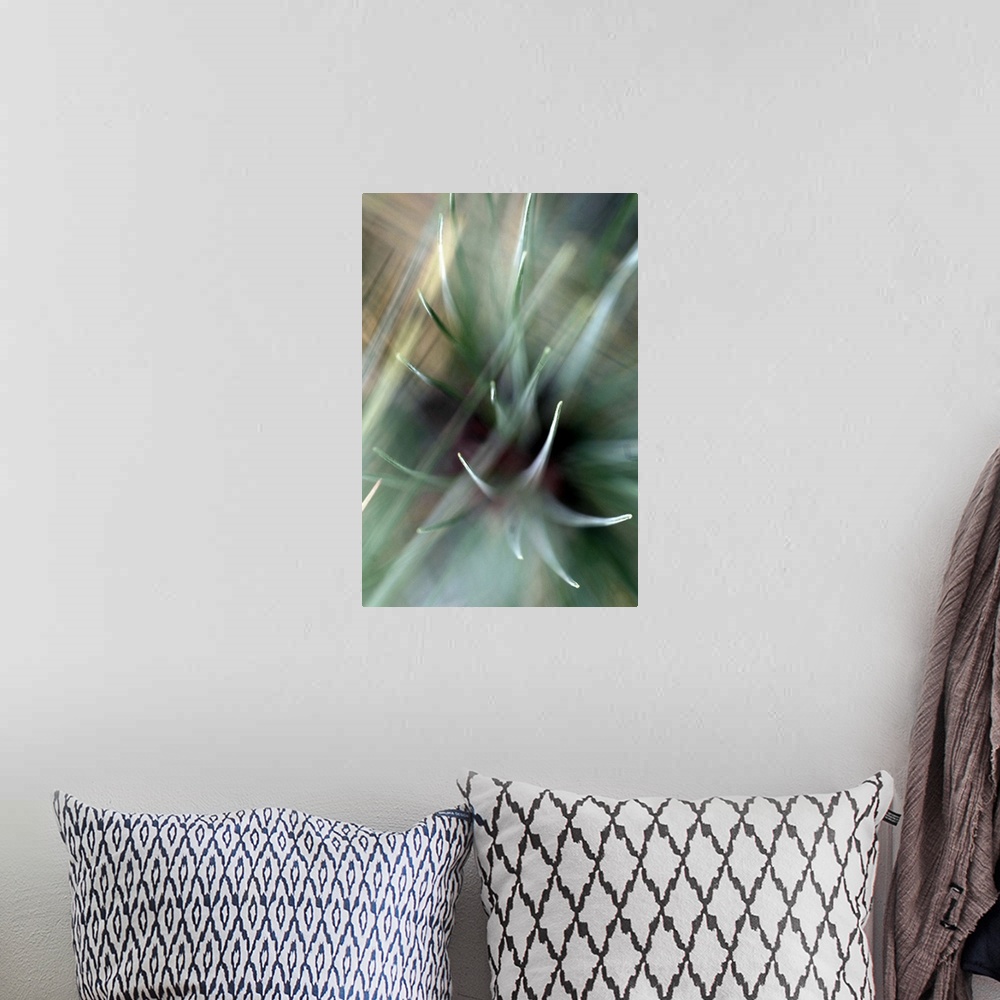 A bohemian room featuring Large, close up, vertical photograph of cactus spines with blurred lines of light moving through ...