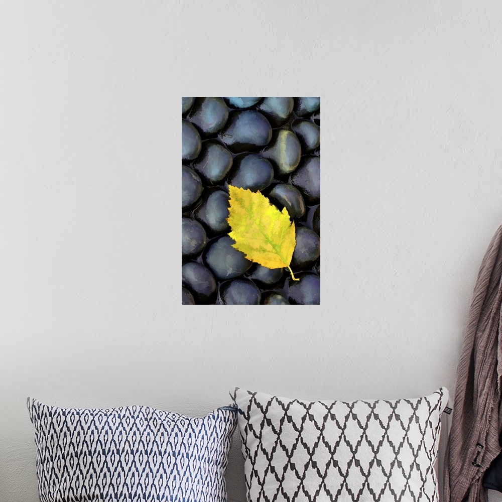 A bohemian room featuring Macro photo of a single yellow leaf resting on round black stones.