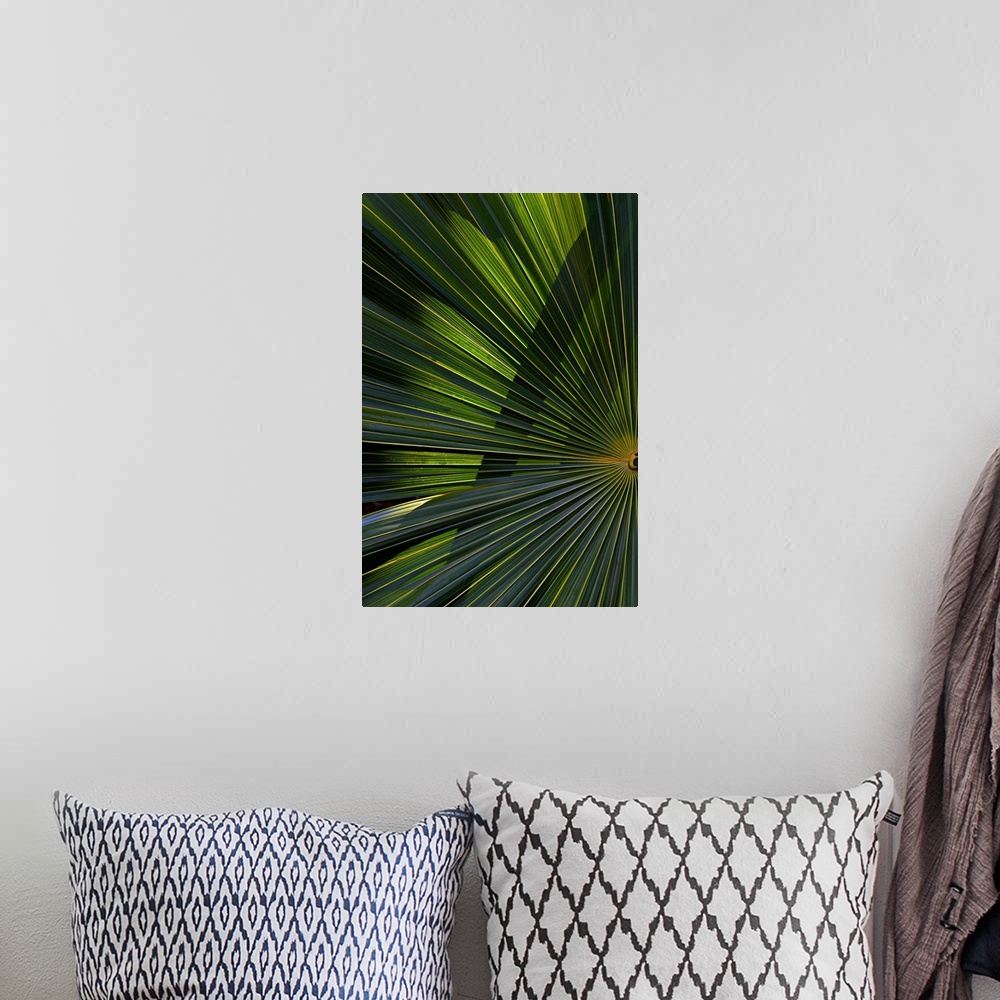 A bohemian room featuring A detailed photograph of a palm branch that is back lit causing highlights on the leaves.